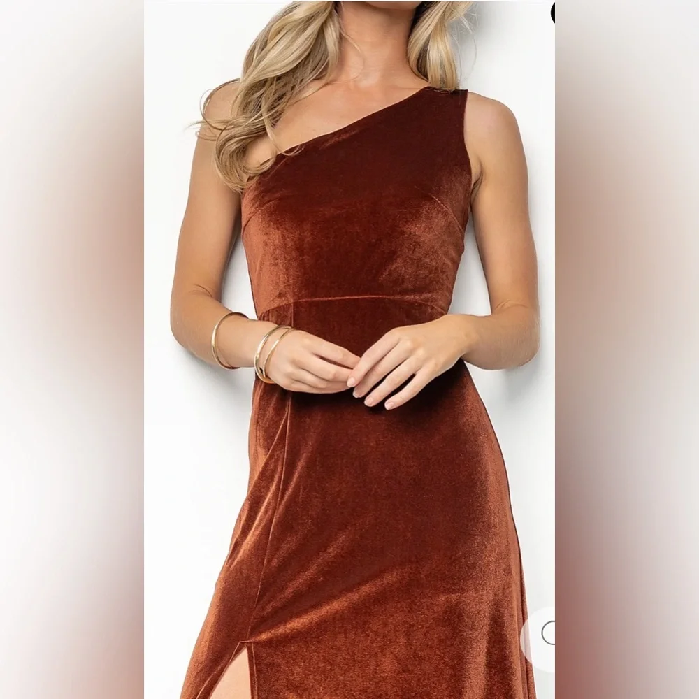 Baltic Born Elegant One-Shoulder Brown Velvet Dress - Picture 7 of 7